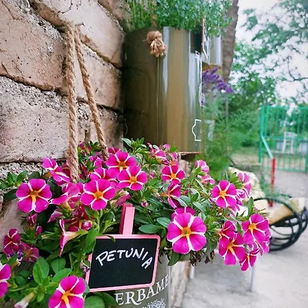Bed & Breakfast La Casa Sul Tetto, Room's & Glamping *