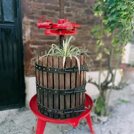 La Casa Sul Tetto, Room's & Glamping 住宿加早餐酒店