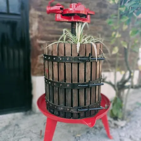 住宿加早餐酒店 La Casa Sul Tetto, Room's & Glamping 雷卡纳蒂