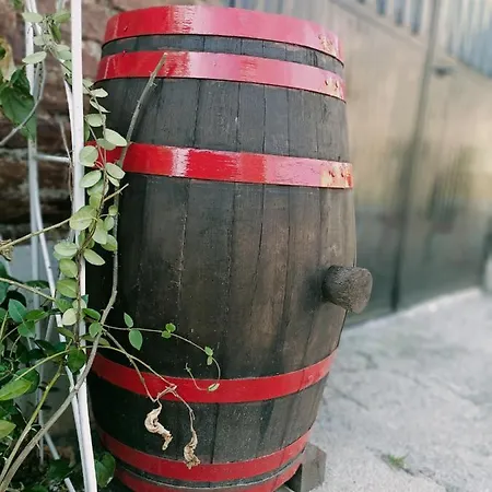 La Casa Sul Tetto, Room's & Glamping 3* 雷卡纳蒂