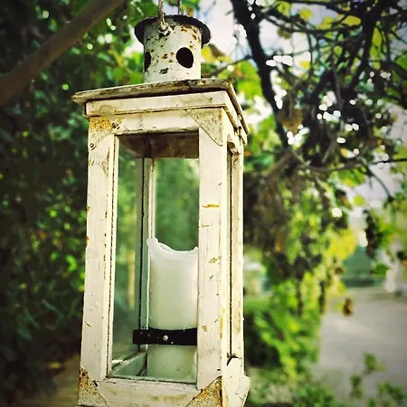 La Casa Sul Tetto, Room's & Glamping 雷卡纳蒂