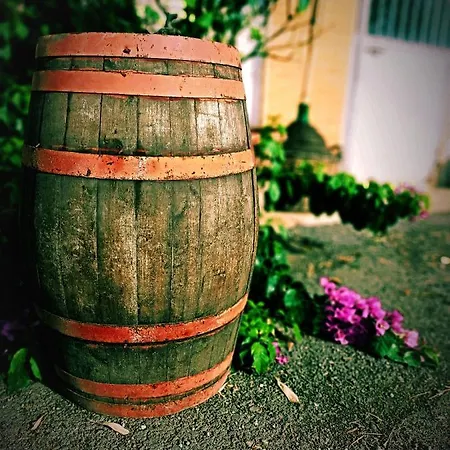 La Casa Sul Tetto, Room's & Glamping 住宿加早餐酒店