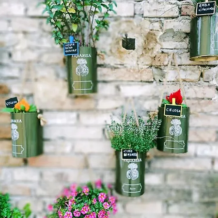 La Casa Sul Tetto, Room's & Glamping 住宿加早餐酒店 3*