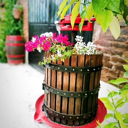 La Casa Sul Tetto, Room's & Glamping Recanati